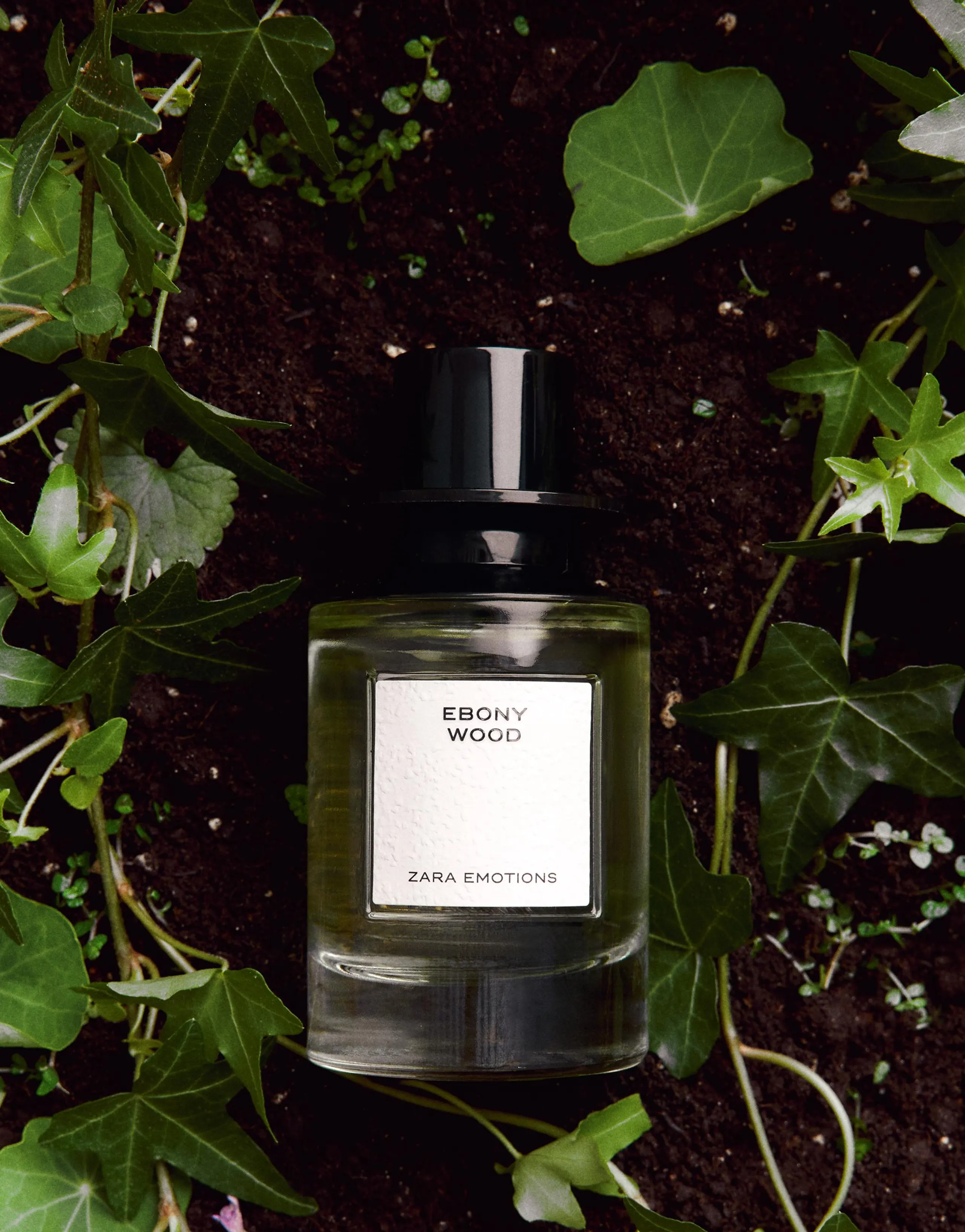 EBONY WOOD EDP 100 ML / 3.4 FL. OZ.