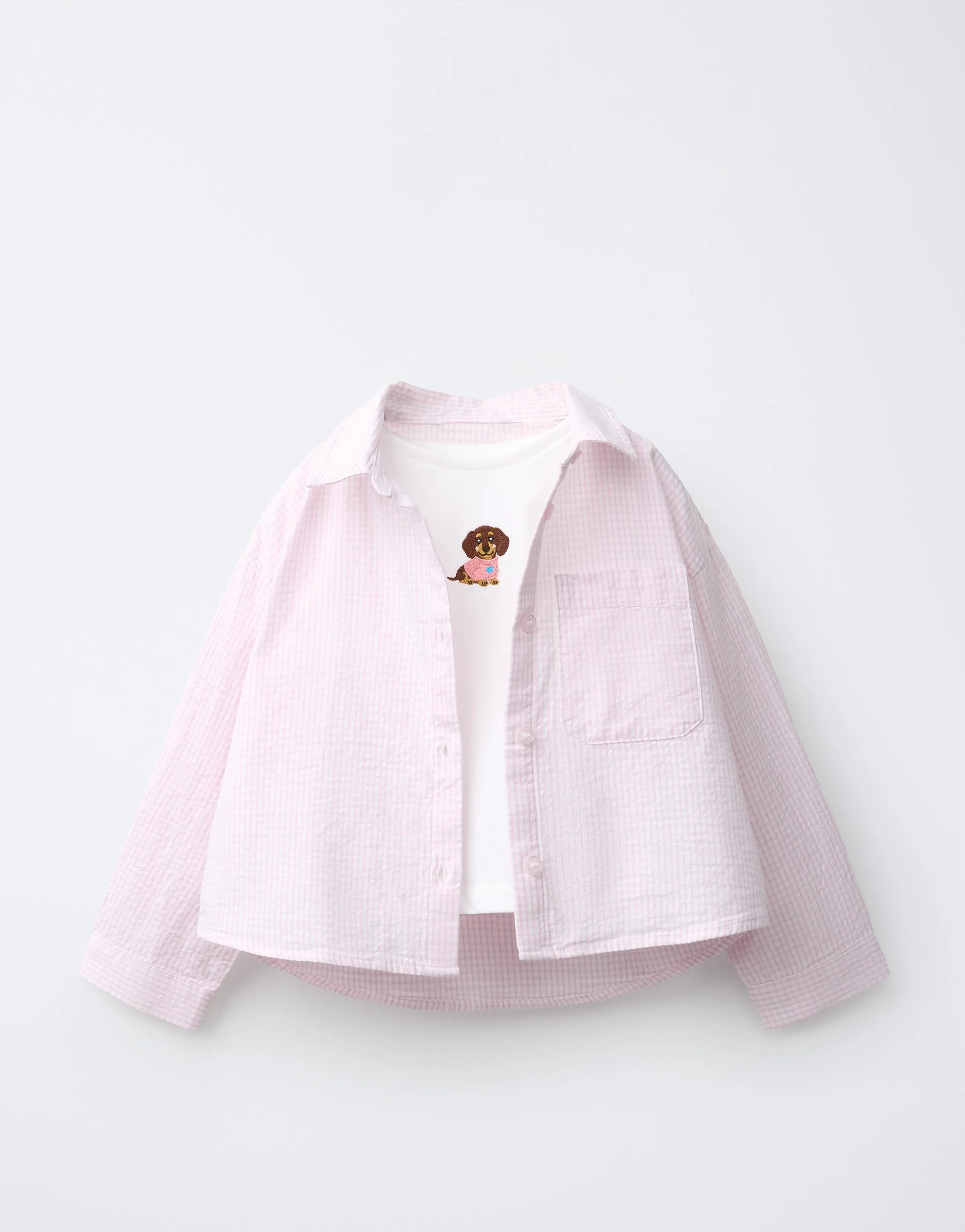 STRIPED SHIRT AND EMBROIDERED DOG T-SHIRT PACK