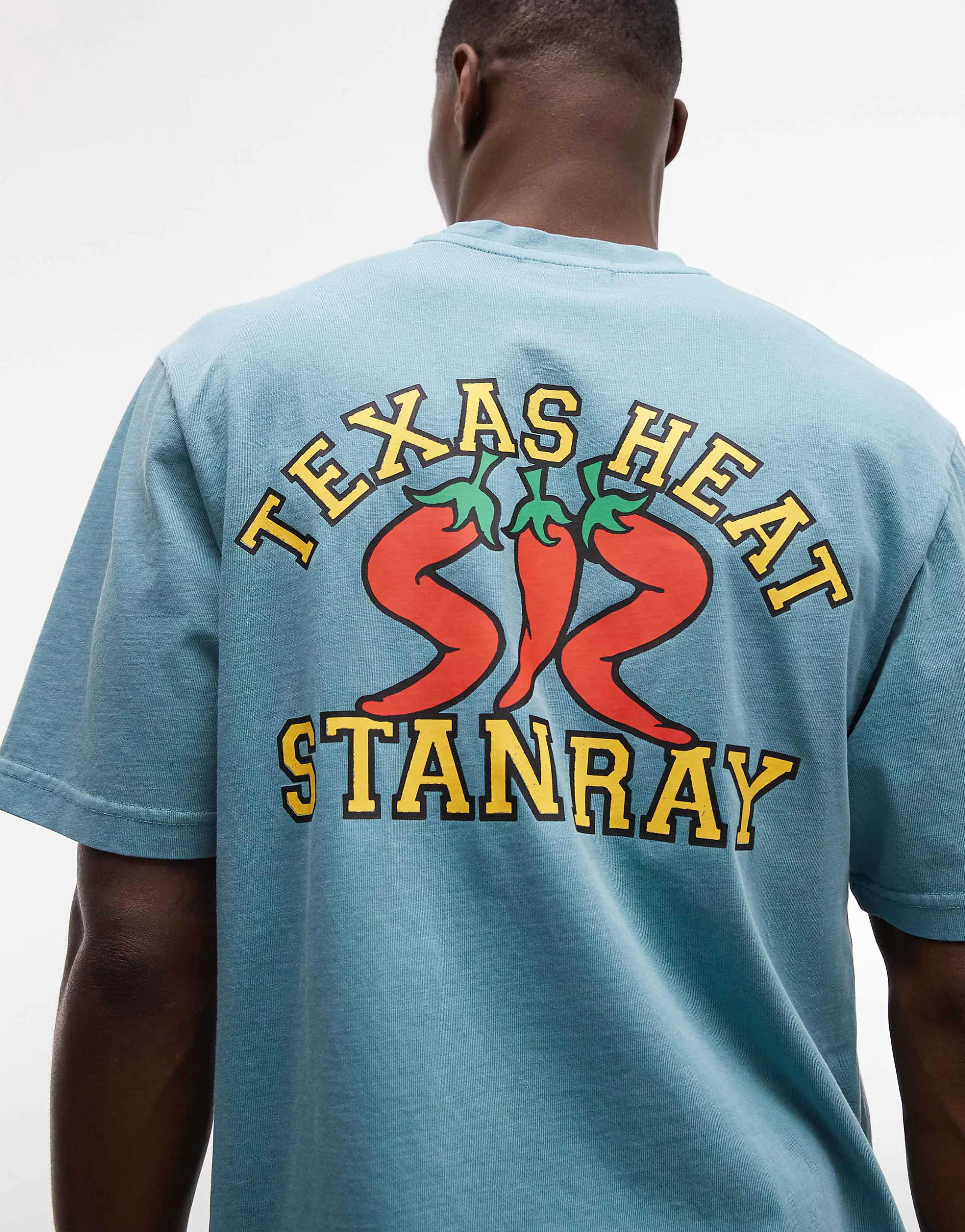 Stan Ray chili pepper graphic back and chest print short sleeve t-shirt in blue