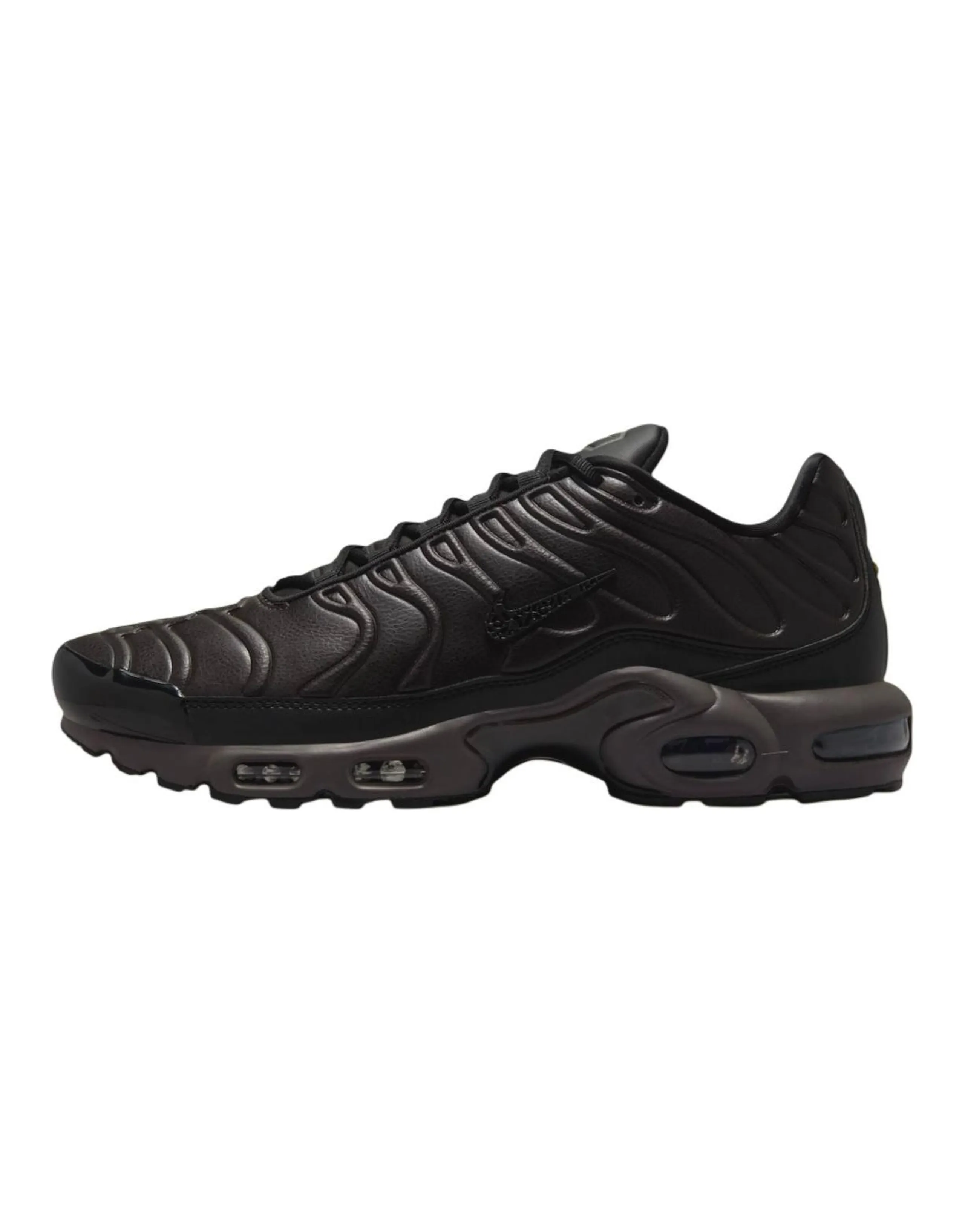 Nike Air Max Plus Premium Paris