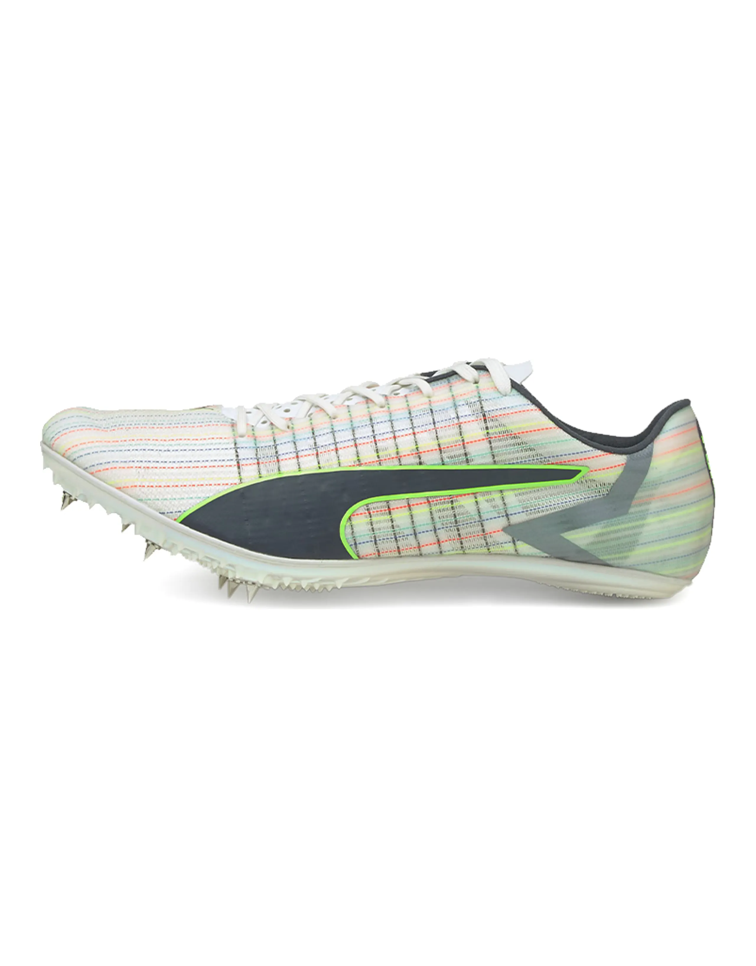PUMA Evo Speed Tokyo Brush Sp