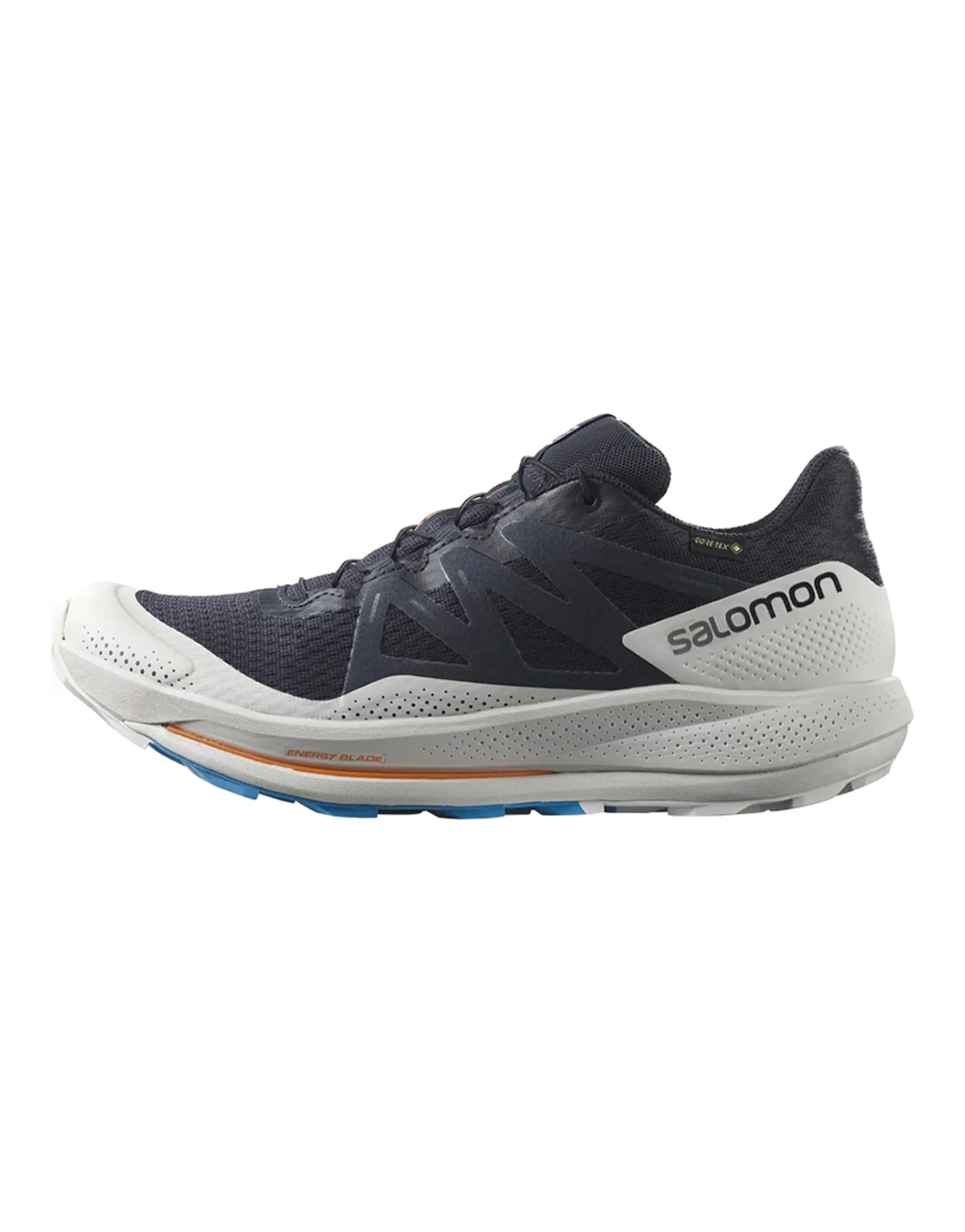 SALOMON Pulsar Trail Gtx 'Night Sky' / L00