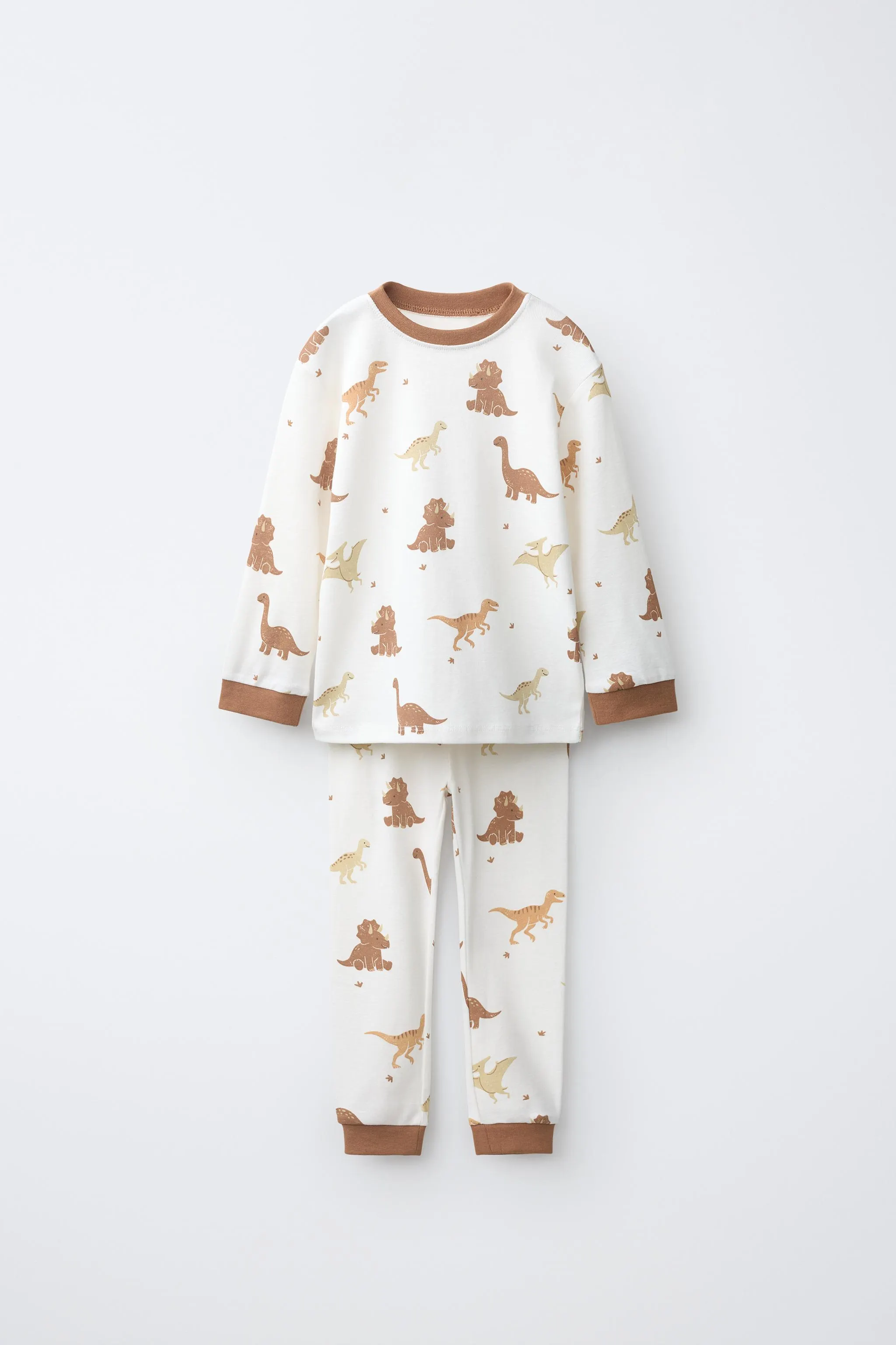 camel